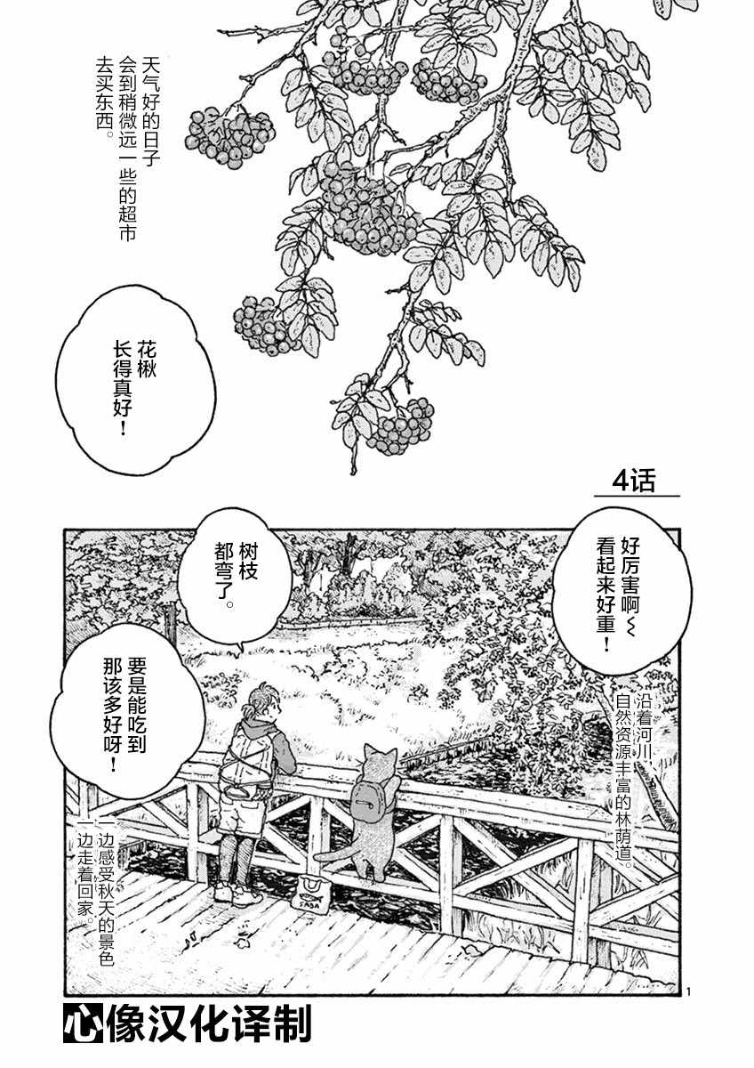 004集