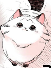 轉生貓貓