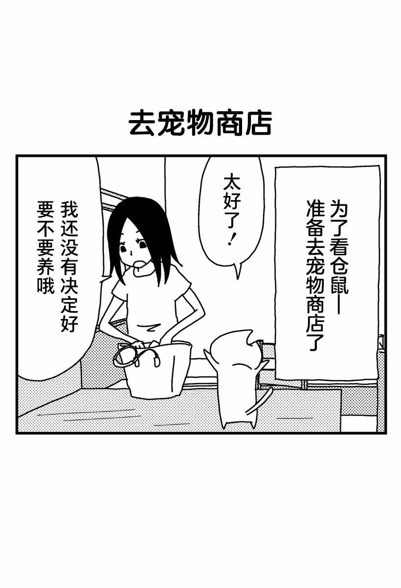 005集