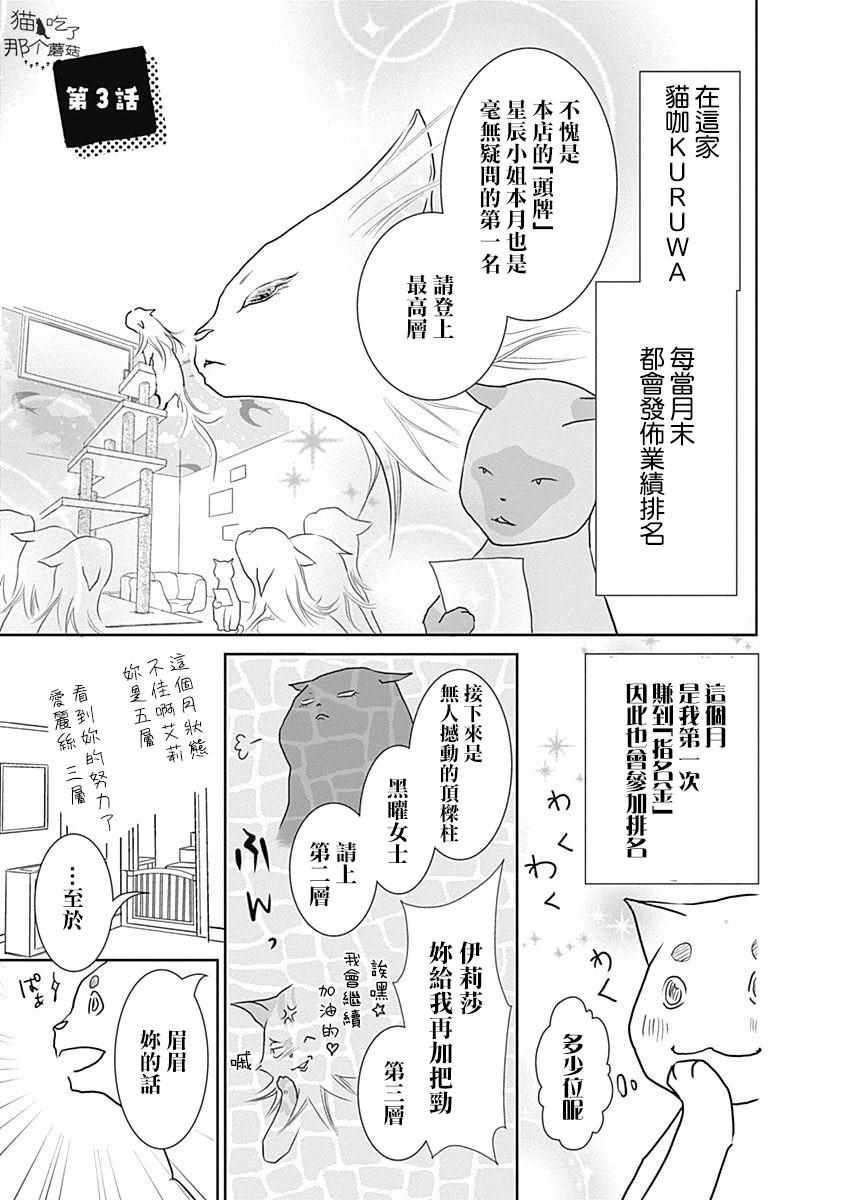 003集