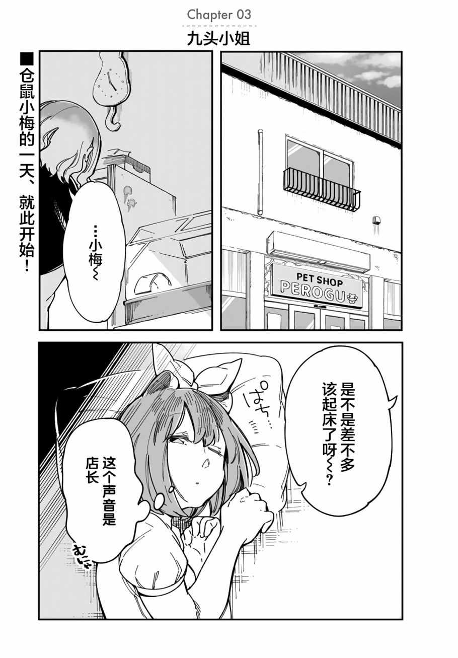 003集